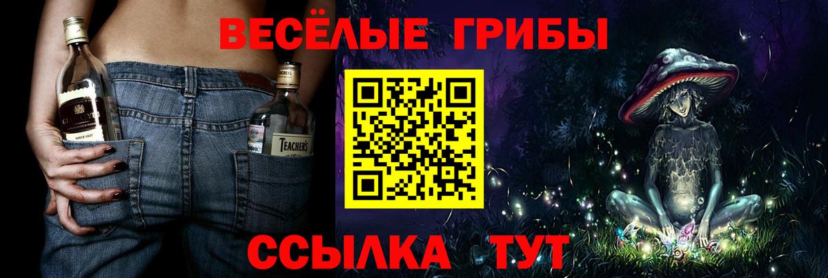 Псилоцибиновые грибы ЛСД Грозный
