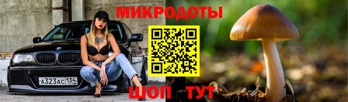 где продают   Вход с VPN  Грозный  Галлюциногенные грибы Magic Shrooms 