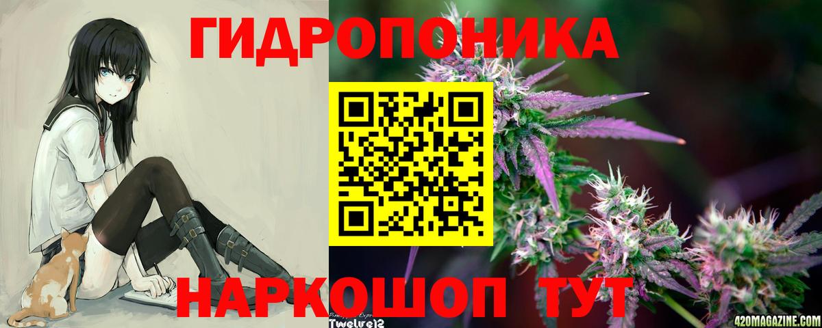 Бошки Шишки AK-47 Грозный